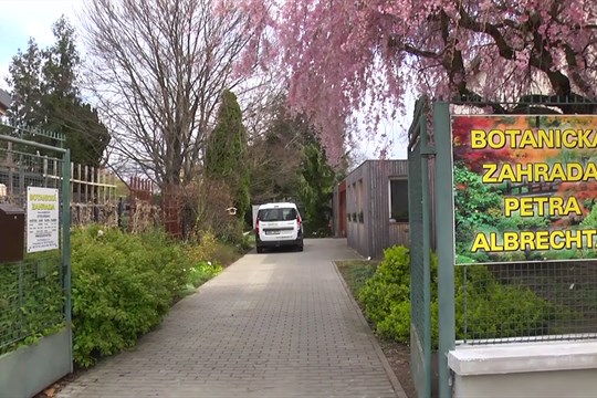 Botanická zahrada v Prostějově slaví 90. let, láká na bohatý program