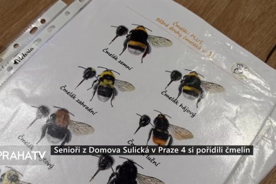 Senioři z Domova Sulická v Praze 4 si pořídili čmelín