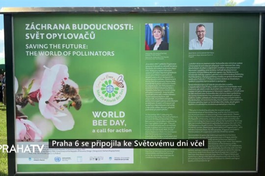 Praha 6 se připojila ke Světovému dni včel