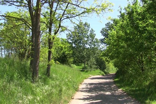 Setkání odborníků se zabývalo lokalitou Polámané