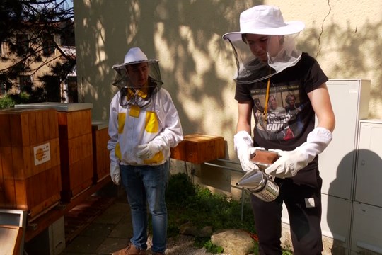 Mezi včelaře rozdělí kraj o 200 tisíc víc než loni