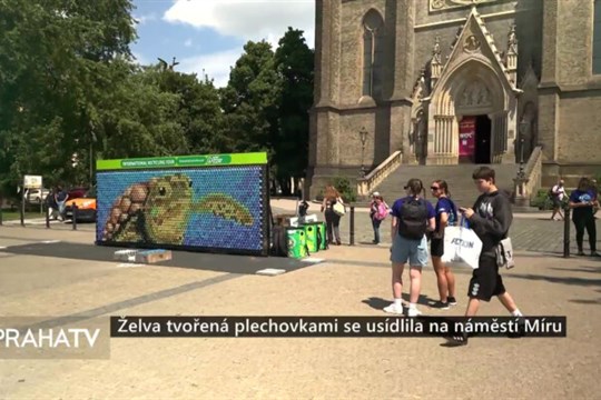 Želva tvořená plechovkami se usídlila na náměstí Míru