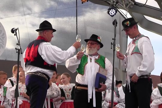 Albert Hauptmann převzal na festivalu Štěpy ocenění