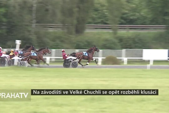 Na závodišti ve Velké Chuchli se opět rozběhli klusáci