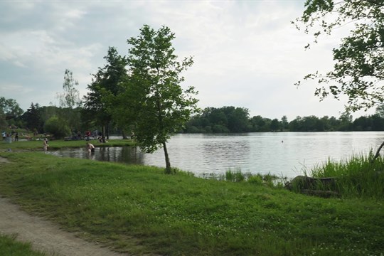 Kvalita vody přírodního koupaliště Poděbrady je vhodná ke koupání