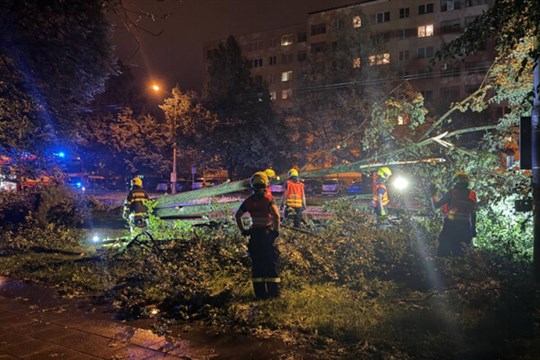 Padající strom zabil ženu v Českém Těšíně. Další lidé se zranili. Hasiči řešili přes 840 událostí