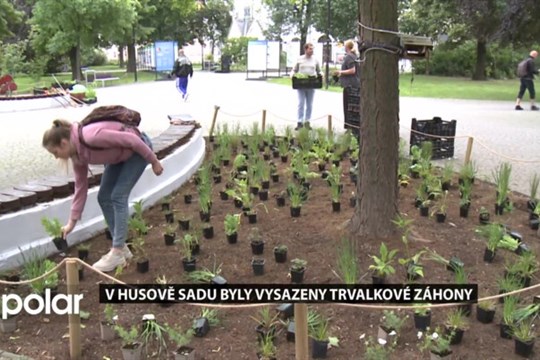 Moravská Ostrava a Přívoz postupně revitalizuje i Husův sad