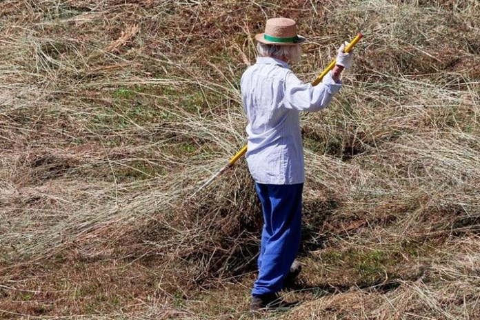 Farmáři z Plzeňska odhadují letos solidní sklizeň, má začít koncem června