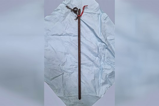 Při sběru třešní spadl na tyč, ta mu propíchla plíce. Odborníci z FNOL mu zachránili život
