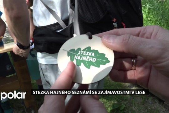 Stezka hajného na Skalkách seznámí se zajímavostmi v lese