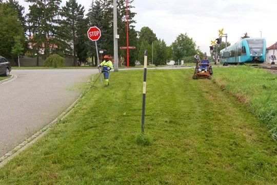 Město seče trávu podle potřeby a počasí