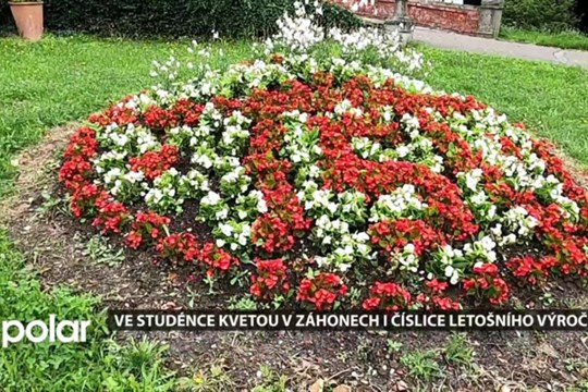 Ve Studénce kvetou v záhonech i číslice letošního výročí města