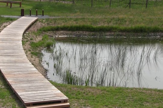 Tři roky po tornádu nahradil zničenou vegetaci v Lužicích přírodní park