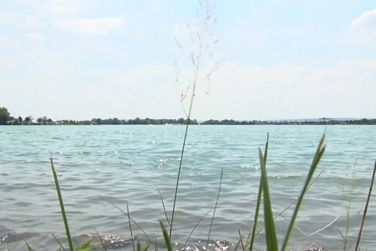 Plumlovská přehrada není vhodná ke koupání