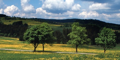 Vysočina Tourism představí krásy i možnosti regionu na veletrhu cestovního ruchu v Plzni