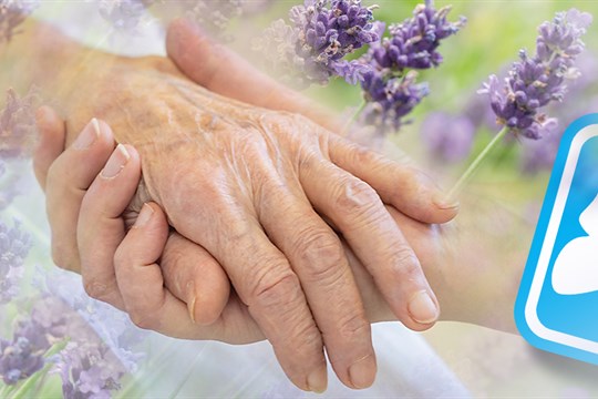 Vsetínská nemocnice otevřela ambulanci paliativní medicíny