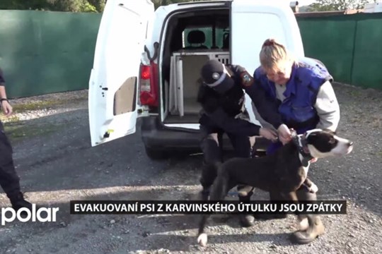 Evakuovaní psi z karvinského útulku jsou zpátky