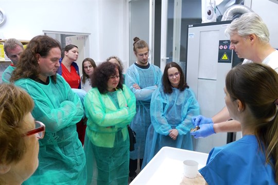 Noc vědců představila práci na patologii