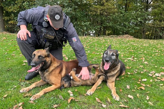 Policejní psi Can a Ciro odchází po osmi letech do zaslouženého důchodu