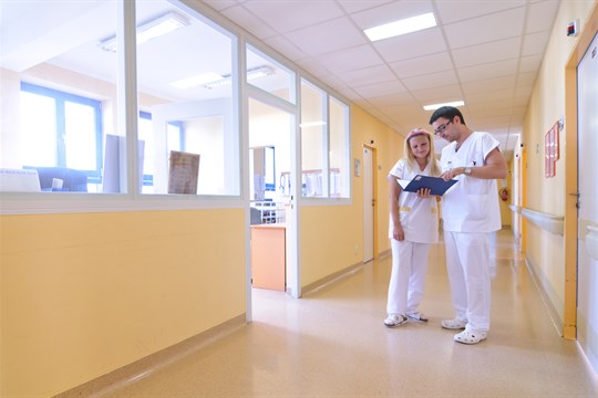 Houbařská sezóna byla letos z hlediska počtu hospitalizací klidnější, hlásí nemocnice Valašské Meziříčí