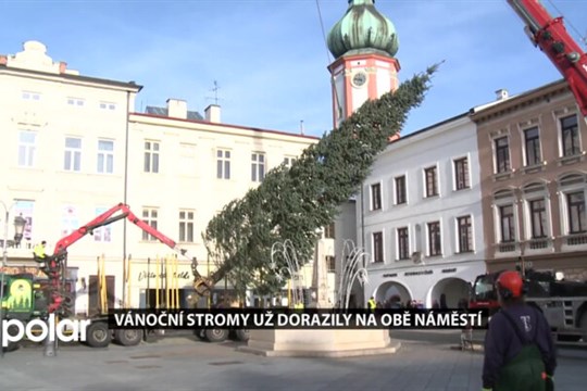 Frýdek-Místek už má své vánoční stromy. Letos se chystá rozsvícení na obou náměstích