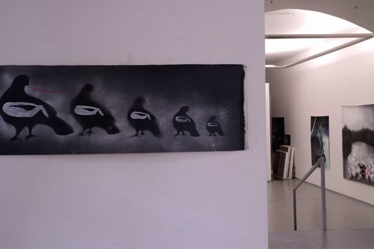 Galerie Caesar vystavuje nejnovější tvorbu výtvarnice Karolíny Netolické