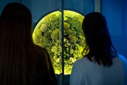 V Techmania Science Center představili novou expozici Udržitelný svět. Stojí za to ji navštívit