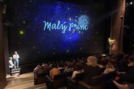 Divadlo J. K. Tyla jako živá učebnice češtiny! Bavorští žáci zavítali do Plzně