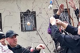 Už jste někdy zdobili Skořápkovník?