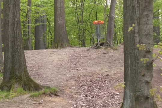 Frýdlant získal les u Střelnice