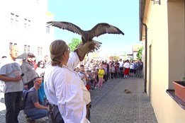 Zámek se na jeden den proměnil ve středověkou pevnost