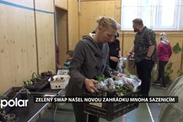 Zelený swap našel novou zahrádku mnoha sazenicím