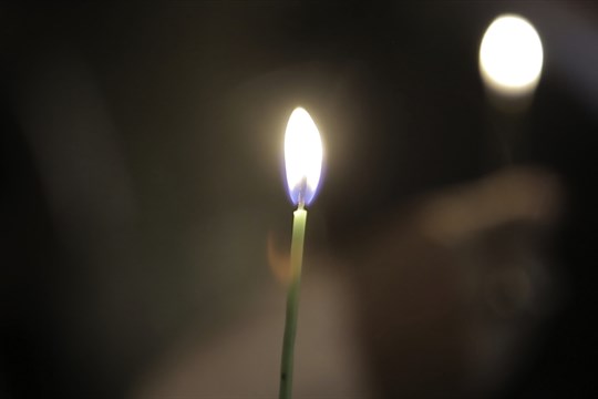 Na Lesním hřbitově vznikne pietní místo pro rodiče, kteří přišli o miminko