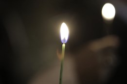 Na Lesním hřbitově vznikne pietní místo pro rodiče, kteří přišli o miminko