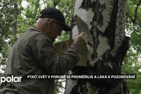 V Porubě se mění druhy ptáků. Květen je ideálním obdobím pro jejich pozorování
