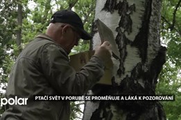 V Porubě se mění druhy ptáků. Květen je ideálním obdobím pro jejich pozorování