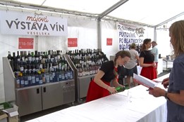 Májová výstava vín Veselska nabídla na 260 vzorků
