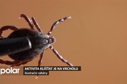Aktivita klíšťat je na vrcholu, lékaři doporučují očkování