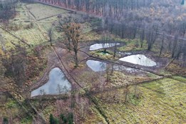 Nové tůně osídlili první obojživelníci