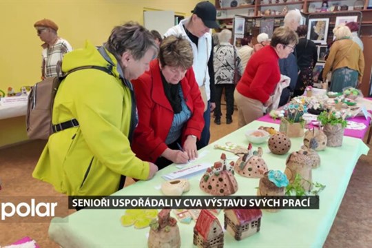 Senioři uspořádali v Centru volnočasových aktivit výstavu svých prací