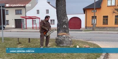 Jarní údržba dřevin v Dolní Cerekvi