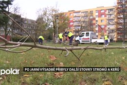 Po jarní výsadbě přibyly ve Frýdku-Místku další stovky stromů a keřů
