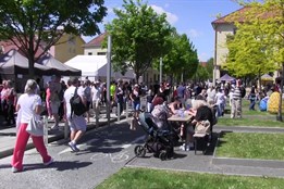Gastrofestival ve Veselí přilákal tisíce lidí a měl i dobročinných charakter