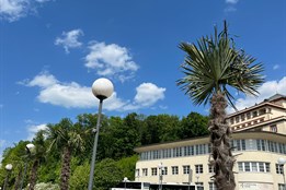 Centrum Luhačovic zdobí exotické palmy