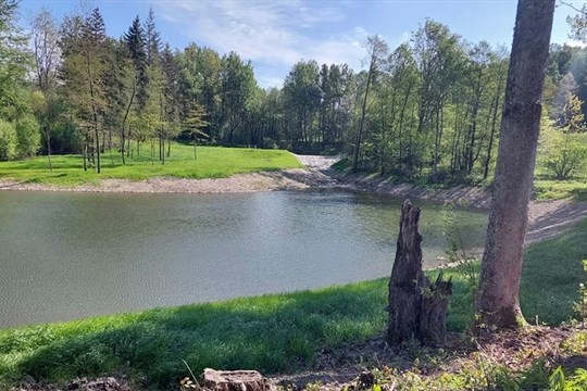 U Dalova nechali zrevitalizovat rybníky, zvýší se biodiverzita