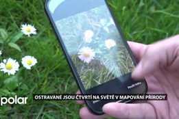 Ostravané jsou čtvrtí na světě v mapování přírody. Do projektu City Nature Challenge se zapojilo 662 měst