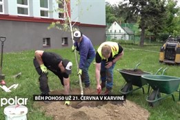 Napříč Karvinou se vysazují nové stromy a keře, které budou mít okrasnou i ekologickou funkci