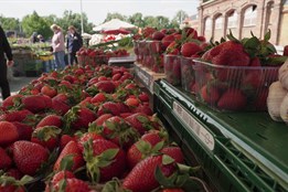 Olomoucké hejtmanství pomůže regionálním farmářům