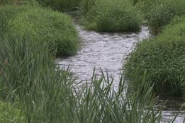 Varnsdorf zadržuje vodu v krajině