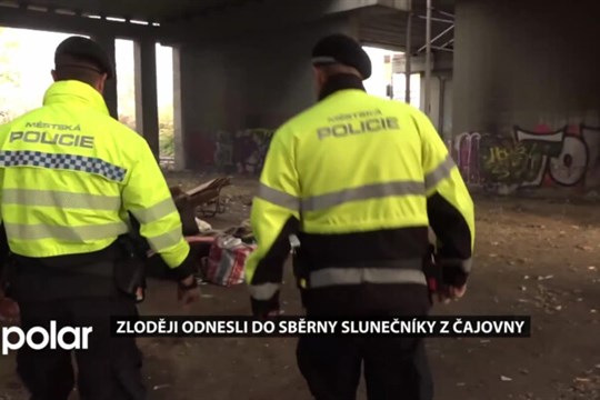 Zloději odnesli do sběrny slunečníky z čajovny. Prý měli policisté přijet dřív